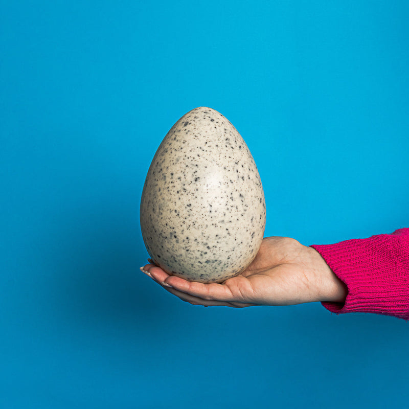 American Uncle Cookies & Cream Easter Egg, uovo di Pasqua di cioccolato bianco con biscotto al cacao in granella da 300g